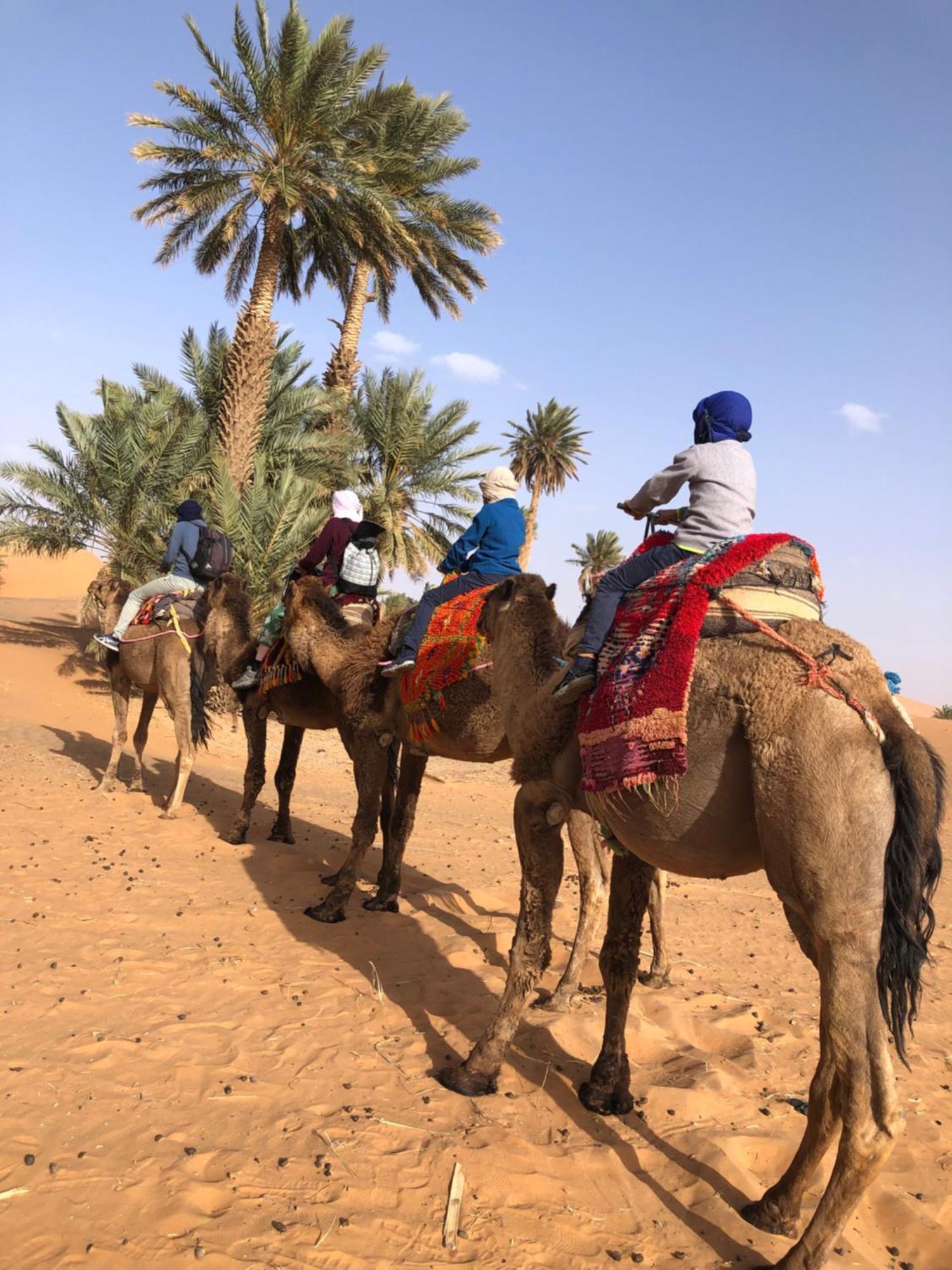 Bivouac Le Petit Prince Merzouga Extérieur photo